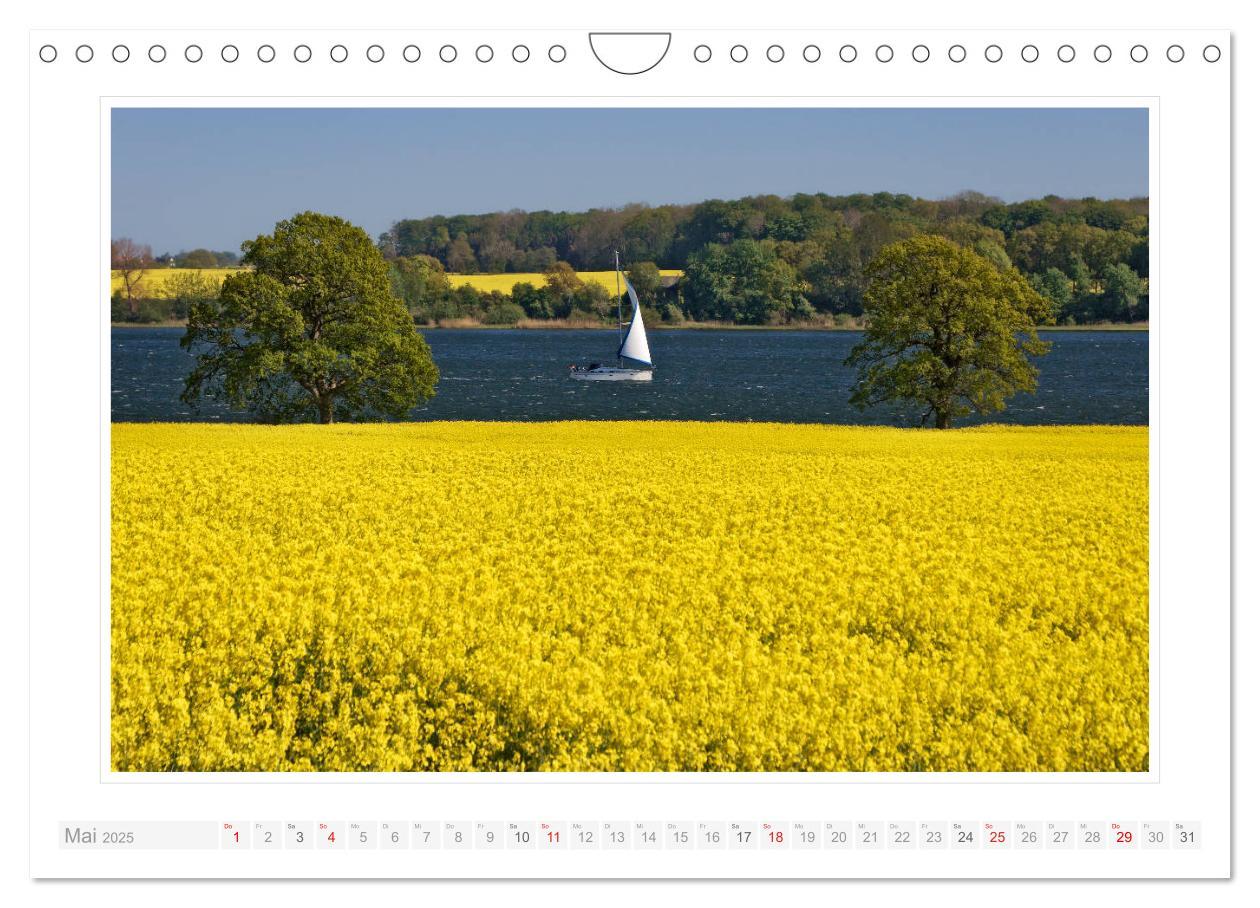 Bild: 9783435316526 | Schleswig-Holstein - über Stadt und Land (Wandkalender 2025 DIN A4...