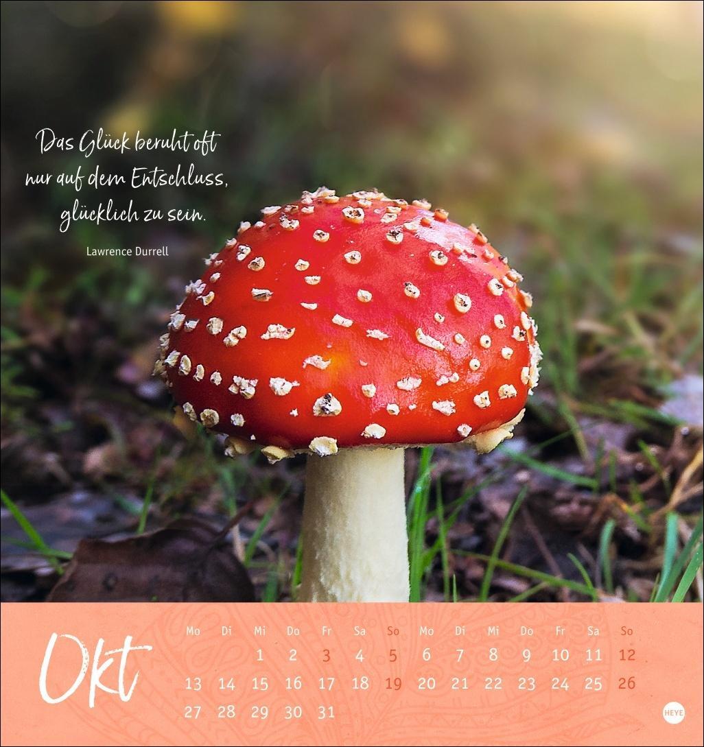 Bild: 9783756406920 | Tage voller Glück Postkartenkalender 2025 | Heye | Kalender | 13 S.