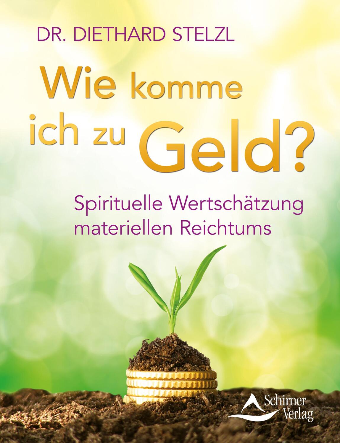 Cover: 9783843412049 | Wie komme ich zu Geld? | Diethard Stelzl | Taschenbuch | 136 S. | 2016