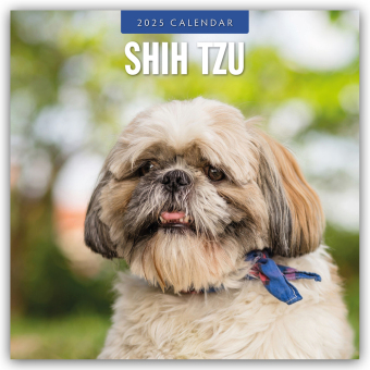 Cover: 9781804425114 | Shih Tzu 2025 - 16-Monatskalender | Red Robin Publishing Ltd | 14 S.