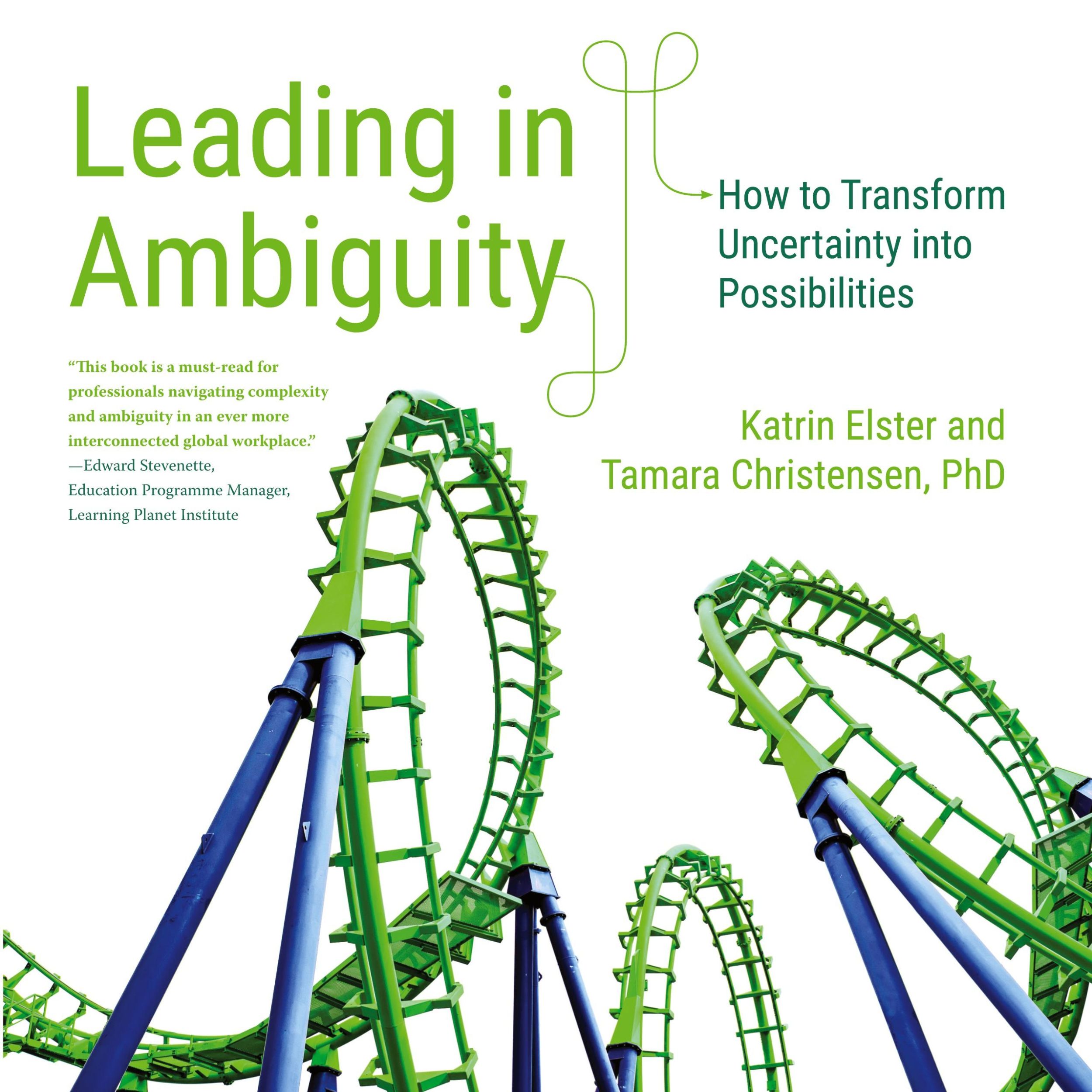 Cover: 9783982445106 | Leading in Ambiguity | How to Transform Uncertainty into Possibilities