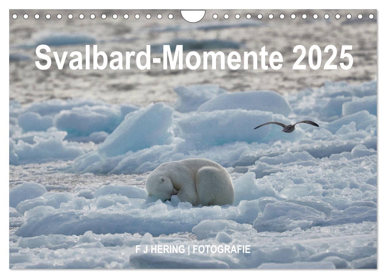 Cover: 9783435305360 | Svalbard-Momente (Wandkalender 2025 DIN A4 quer), CALVENDO...