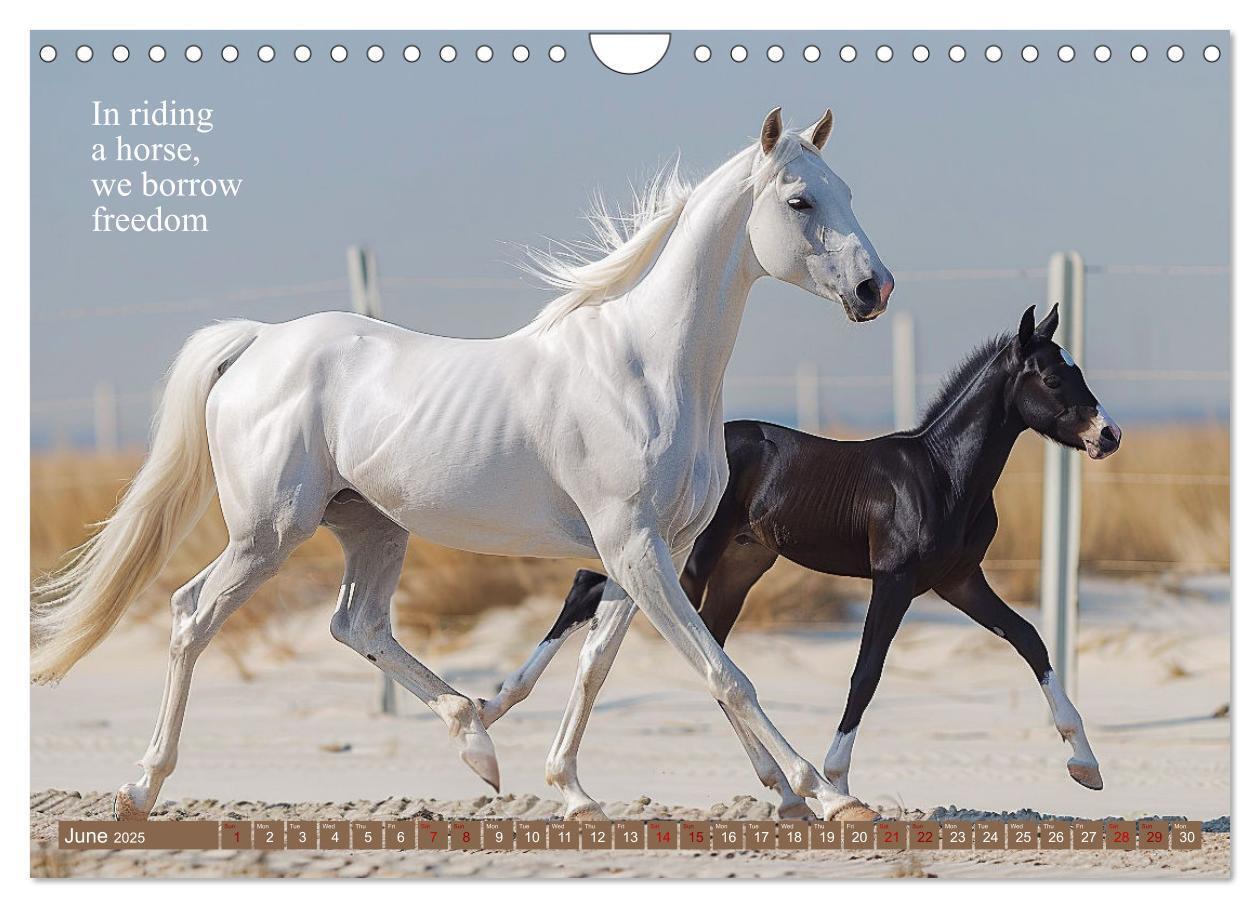 Bild: 9781325980727 | A Horse Makes You Complete (Wall Calendar 2025 DIN A4 landscape),...