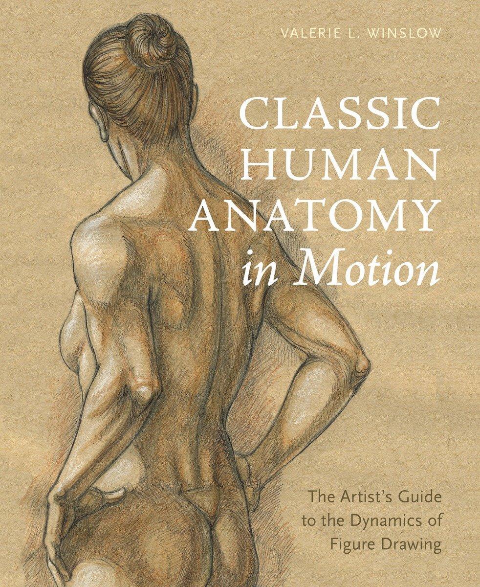 Cover: 9780770434144 | Classic Human Anatomy in Motion: The Artist's Guide to the Dynamics...