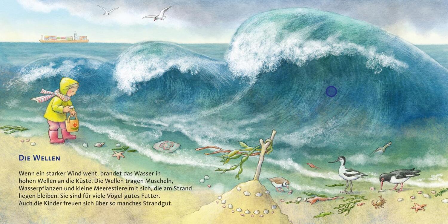 Bild: 9783551250421 | Hör mal (Soundbuch): Am Meer | Anne Möller | Buch | 16 S. | Deutsch