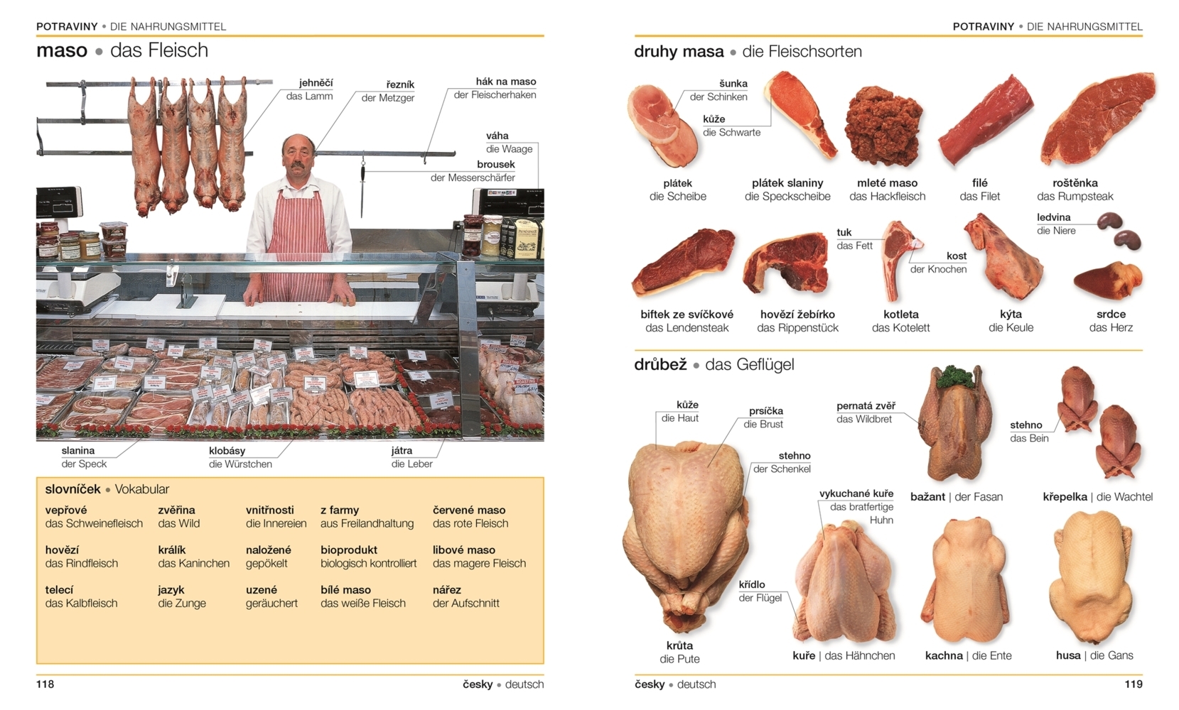 Bild: 9783831029846 | Visuelles Wörterbuch Tschechisch Deutsch; . | Taschenbuch | 392 S.