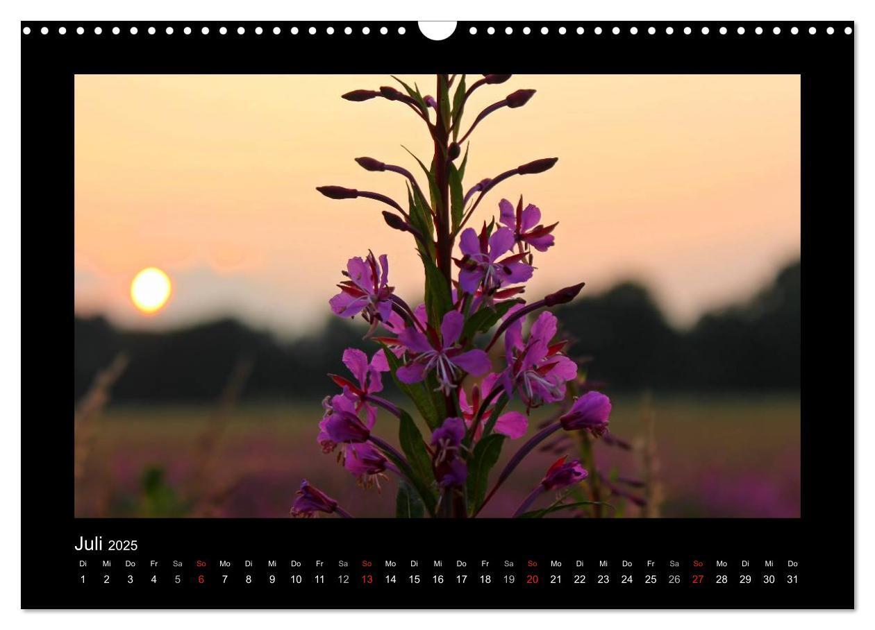 Bild: 9783435731732 | Landschaft Teufelsmoor / 2025 (Wandkalender 2025 DIN A3 quer),...