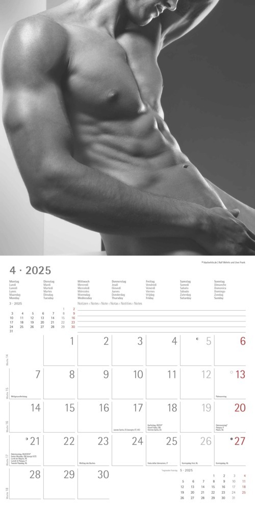 Bild: 4251732343095 | Alpha Edition - Masculine 2025 Broschürenkalender, 30x30cm,...