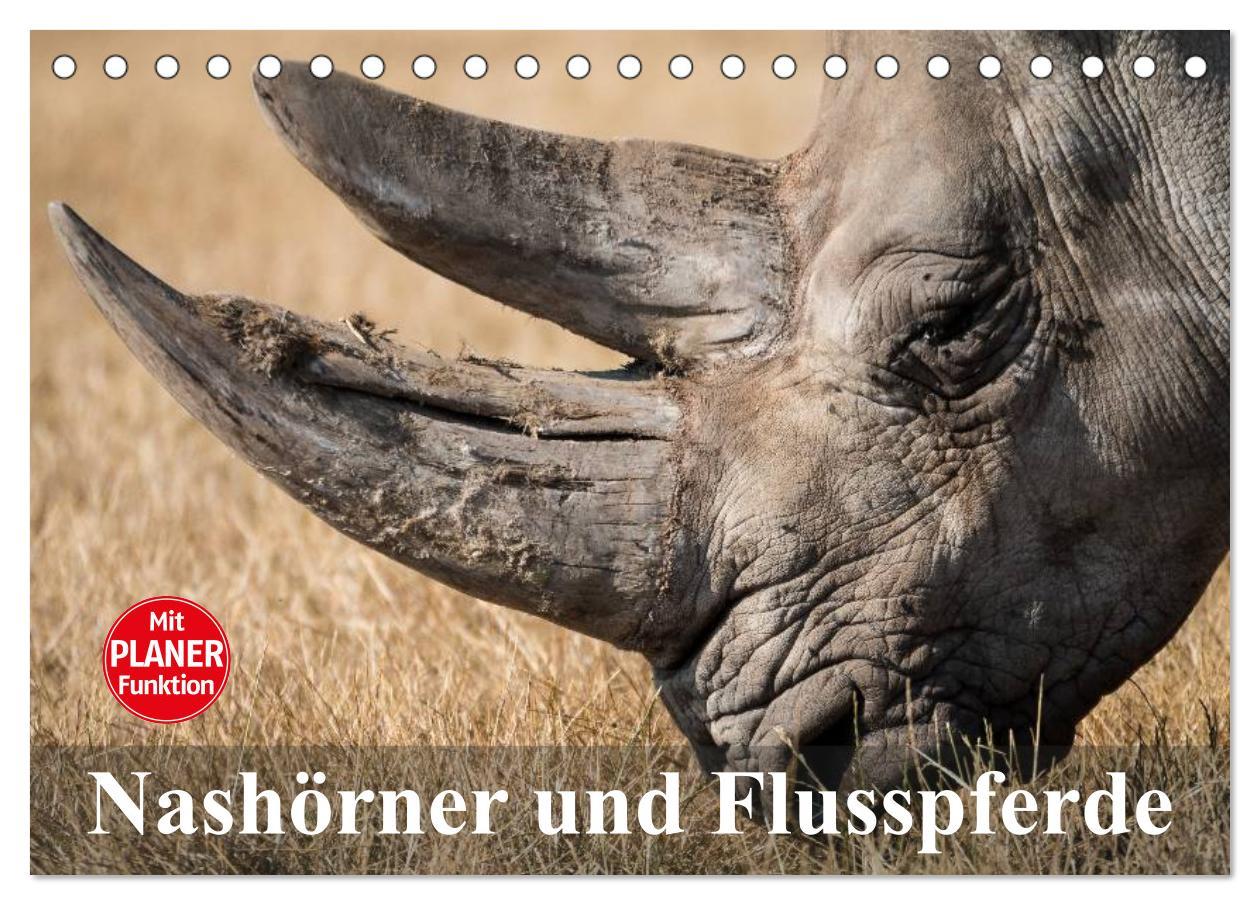 Cover: 9783435534173 | Nashörner und Flusspferde (Tischkalender 2025 DIN A5 quer),...