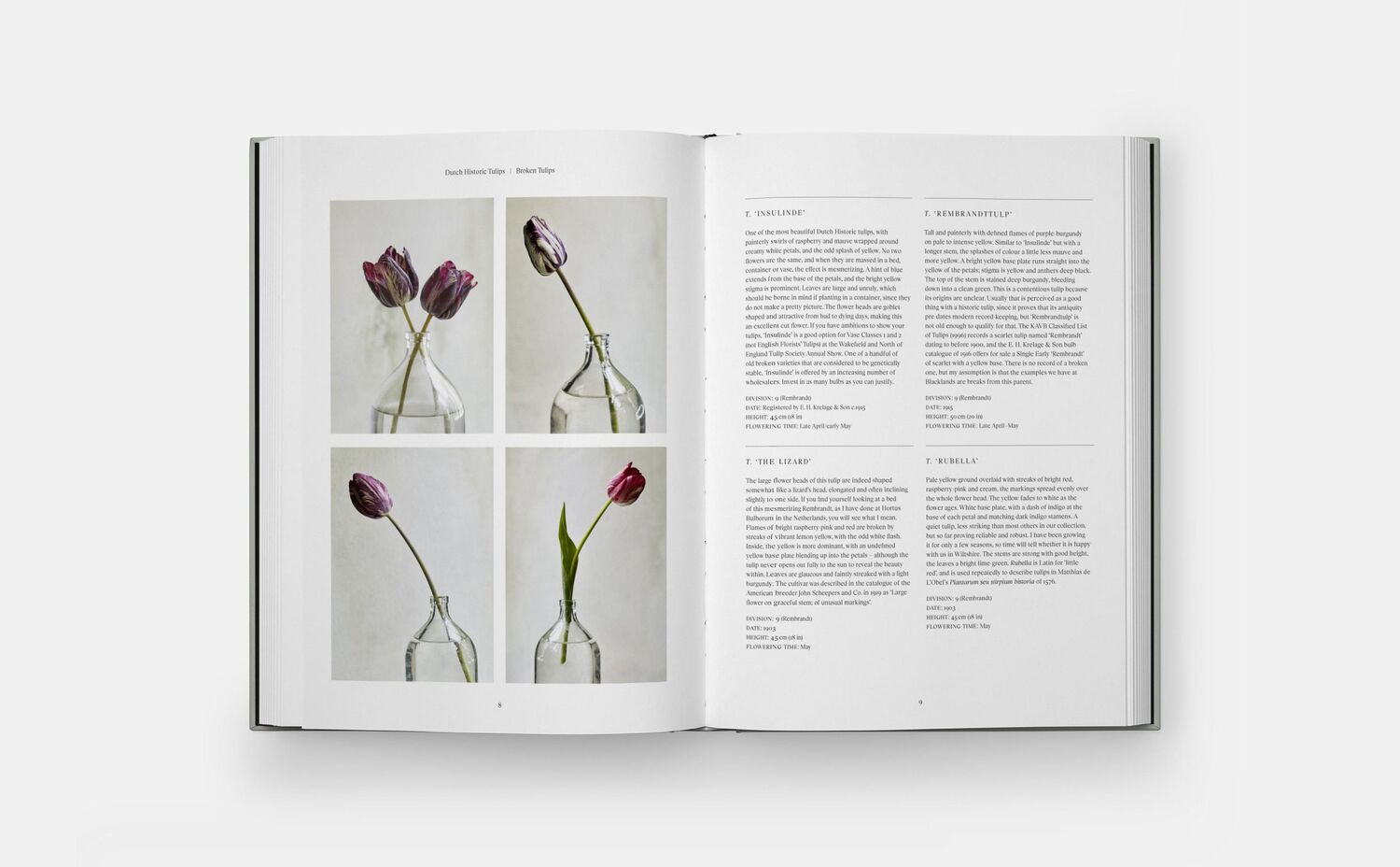 Bild: 9781838667689 | The Tulip Garden | Polly Nicholson (u. a.) | Buch | Phaidon Press