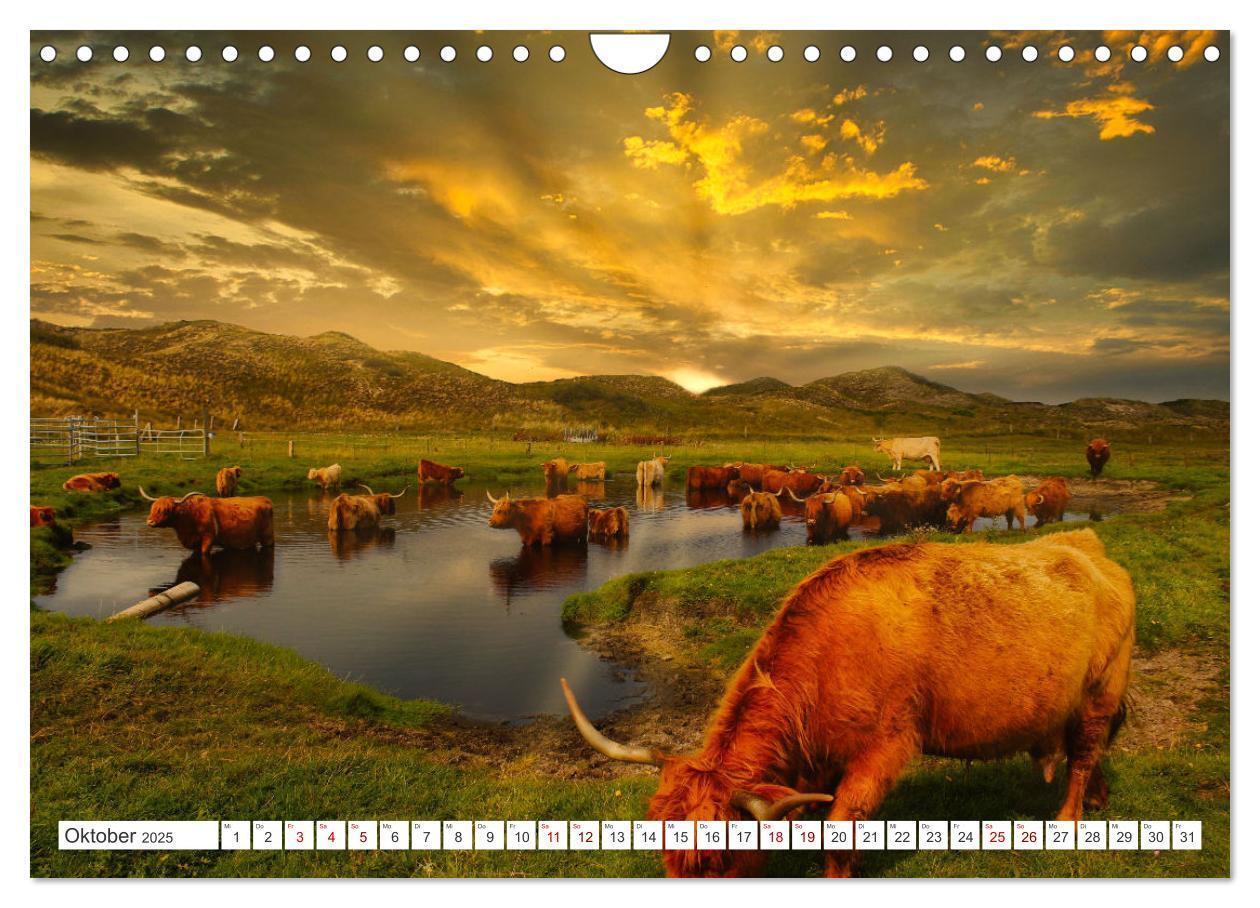 Bild: 9783383922930 | Langeoog - Perle der Natur (Wandkalender 2025 DIN A4 quer),...