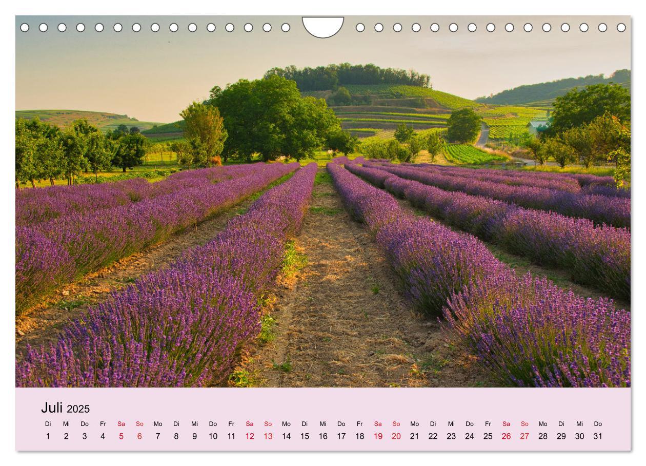 Bild: 9783383794322 | Augenblicke im Kaiserstuhl (Wandkalender 2025 DIN A4 quer),...