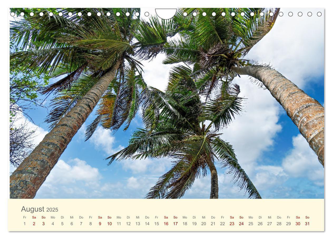 Bild: 9783435011926 | Traumhafte Seychellen (Wandkalender 2025 DIN A4 quer), CALVENDO...