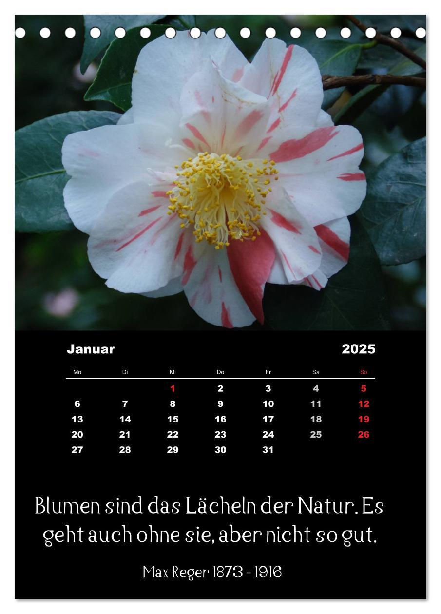 Bild: 9783457085660 | Sprüche und Zitate berühmter Personen über Blumen und Natur...