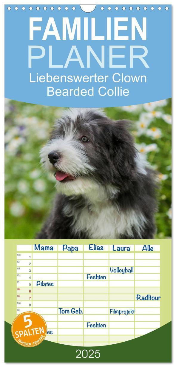 Cover: 9783457125168 | Familienplaner 2025 - Liebenswerter Clown Bearded Collie mit 5...