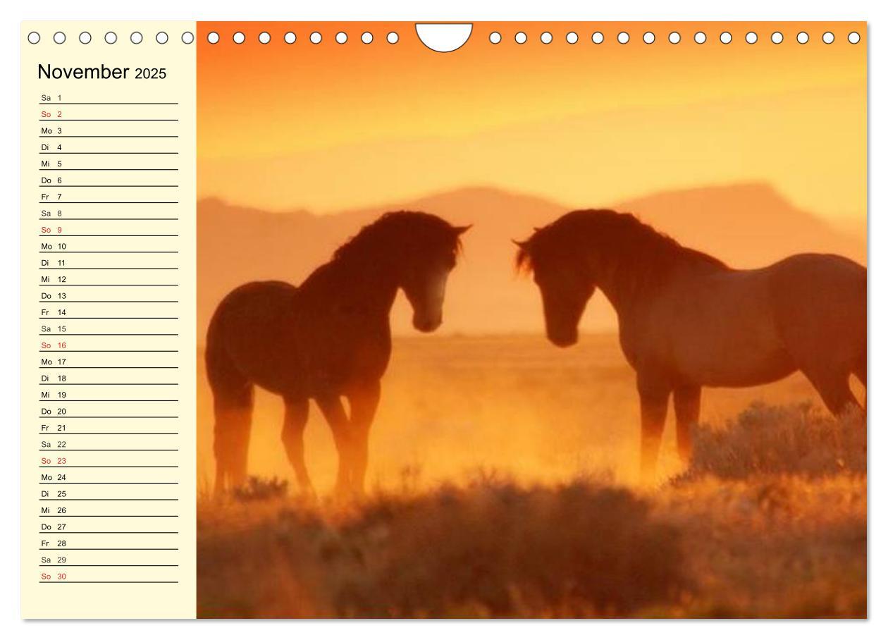 Bild: 9783435529780 | Wilde Pferde. Mustangs in USA (Wandkalender 2025 DIN A4 quer),...