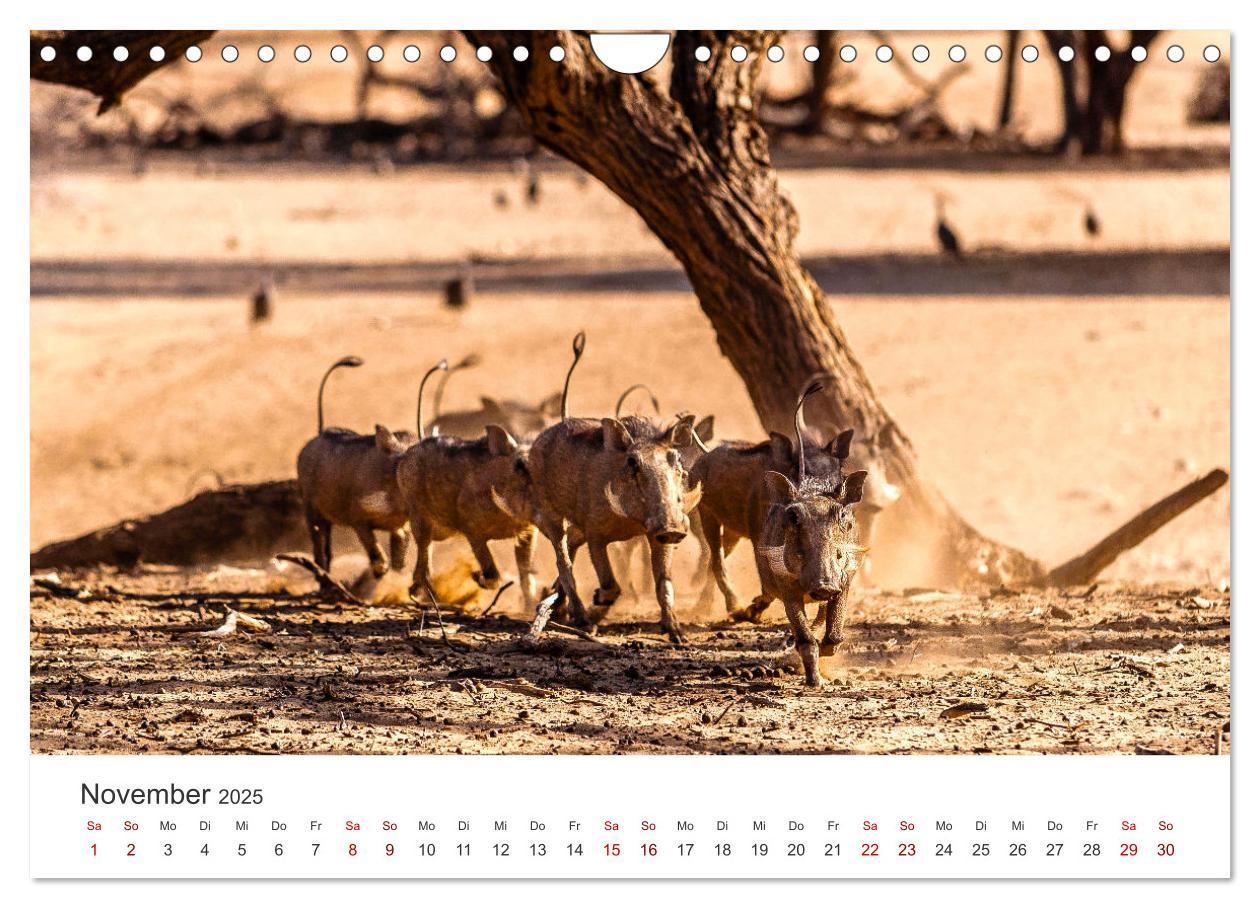 Bild: 9783383977220 | Namibia - Ein Paradies auf Erden. (Wandkalender 2025 DIN A4 quer),...