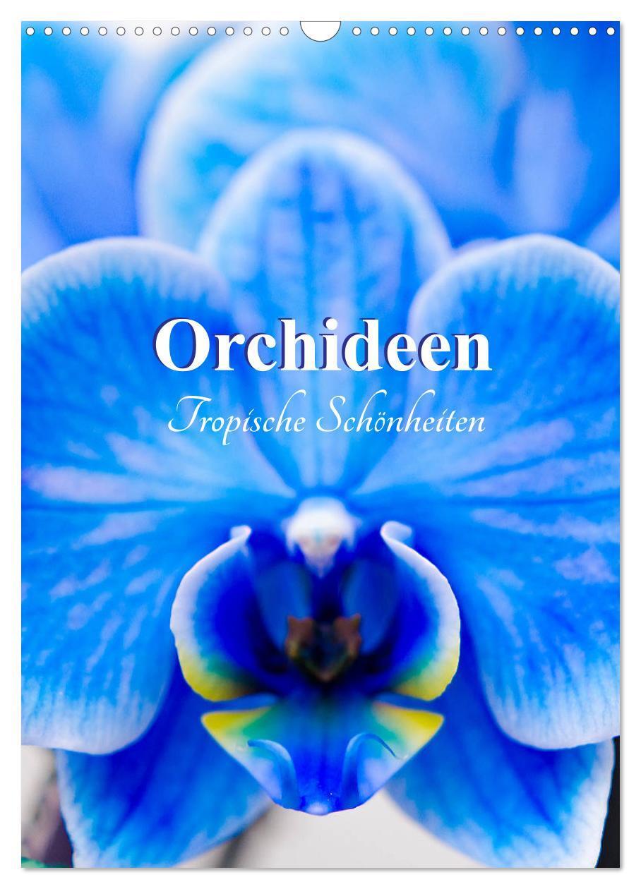 Cover: 9783435977499 | Orchideen - Tropische Schönheiten (Wandkalender 2025 DIN A3 hoch),...