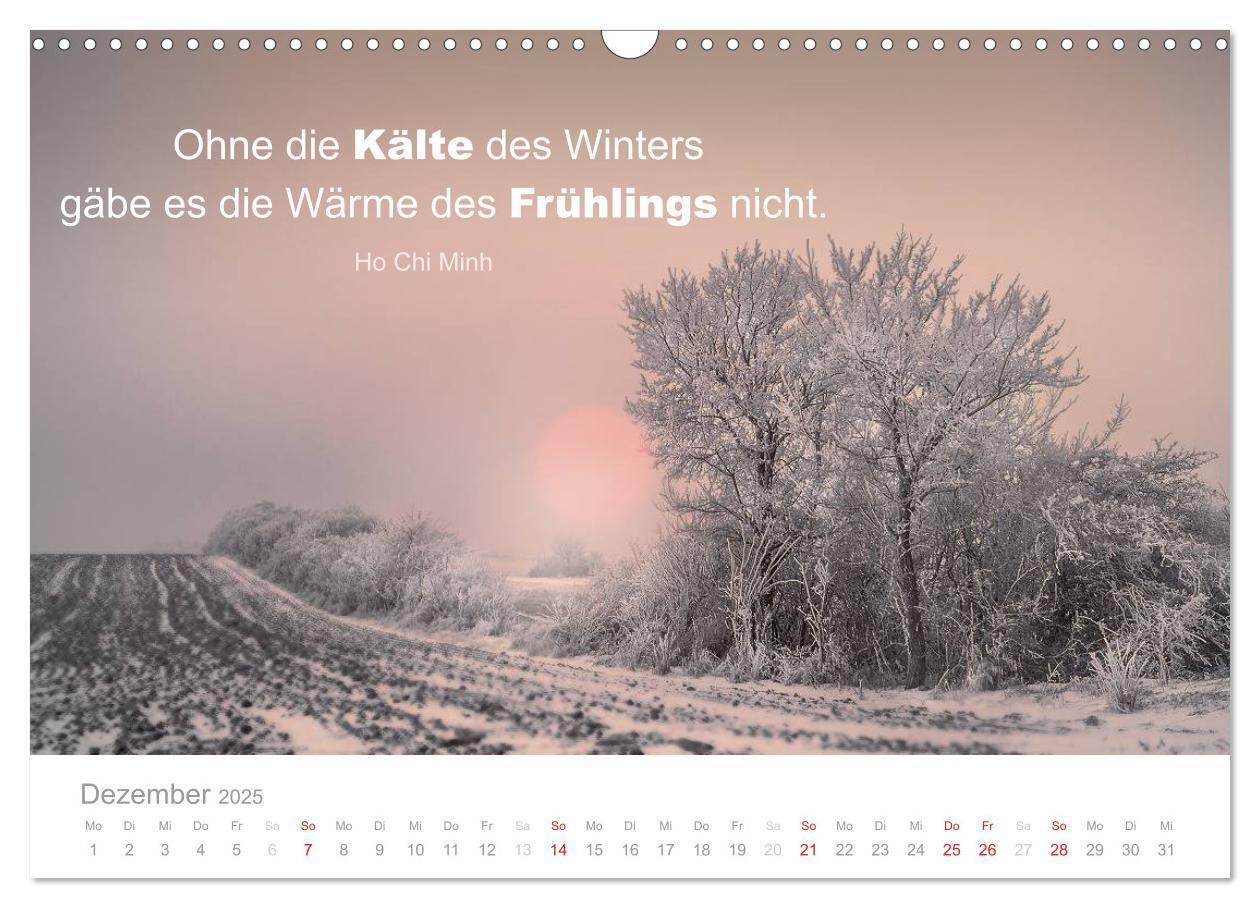 Bild: 9783435480746 | Zauberhafte Sprüche - Bunte Seelenblüten (Wandkalender 2025 DIN A3...