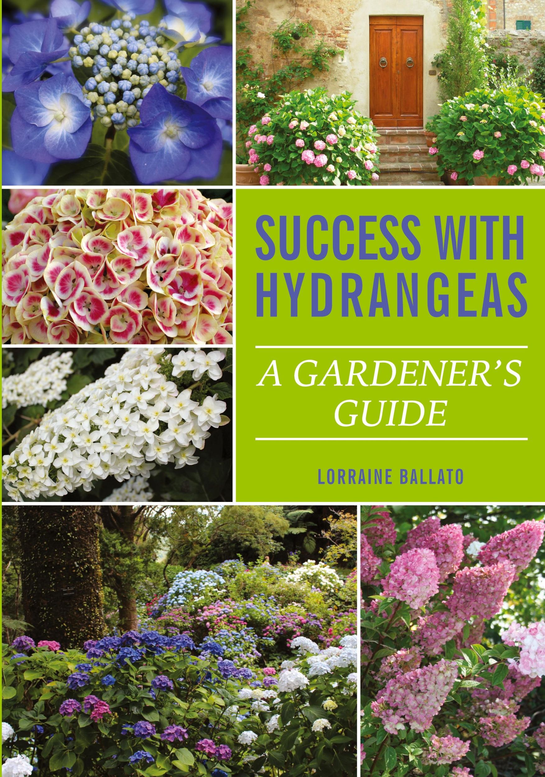 Cover: 9780982039427 | Success With Hydrangeas | A Gardener's Guide | Lorraine Ballato | Buch