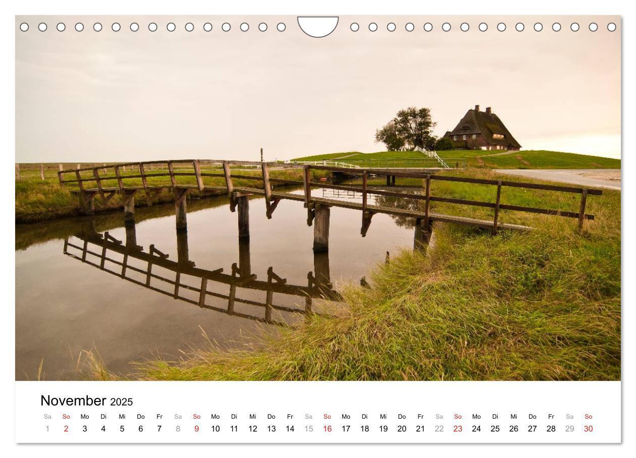 Bild: 9783435570386 | Hallig Hooge - zwischen Himmel und Erde (Wandkalender 2025 DIN A4...