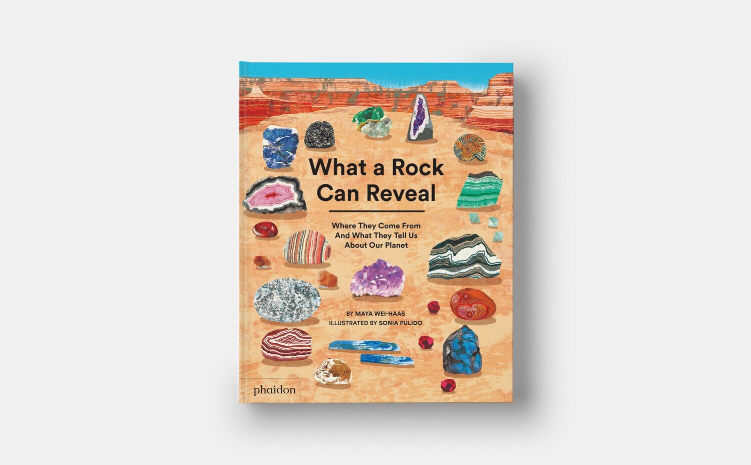 Bild: 9781838667894 | What a Rock Can Reveal | Maya Wei-Haas (u. a.) | Buch | Phaidon Press