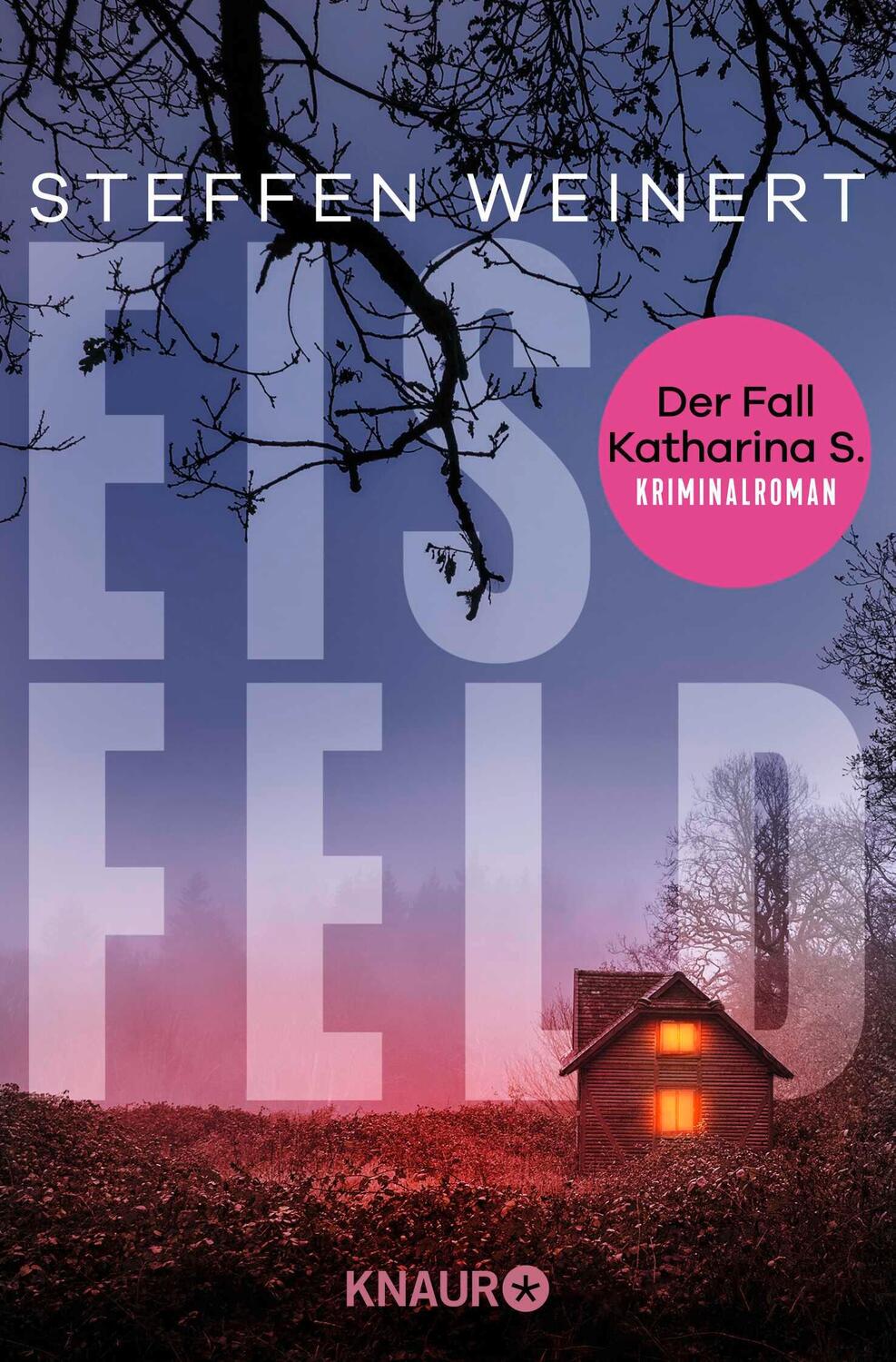 Cover: 9783426448212 | Eisfeld - Der Fall Katharina S. | Steffen Weinert | Taschenbuch | 2024