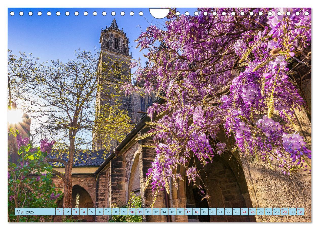 Bild: 9783383959233 | Mit dem Magdeburger Dom durchs Jahr (Wandkalender 2025 DIN A4...