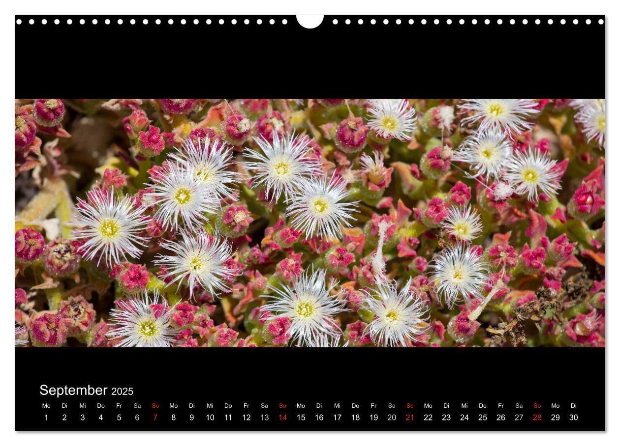 Bild: 9783435676521 | La Gomera - Kanarisches Naturparadies (Wandkalender 2025 DIN A3...