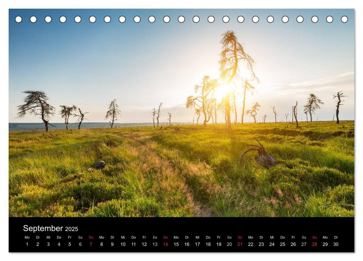 Bild: 9783435556830 | HOHES VENN - Einblicke in ein Hochmoor (Tischkalender 2025 DIN A5...