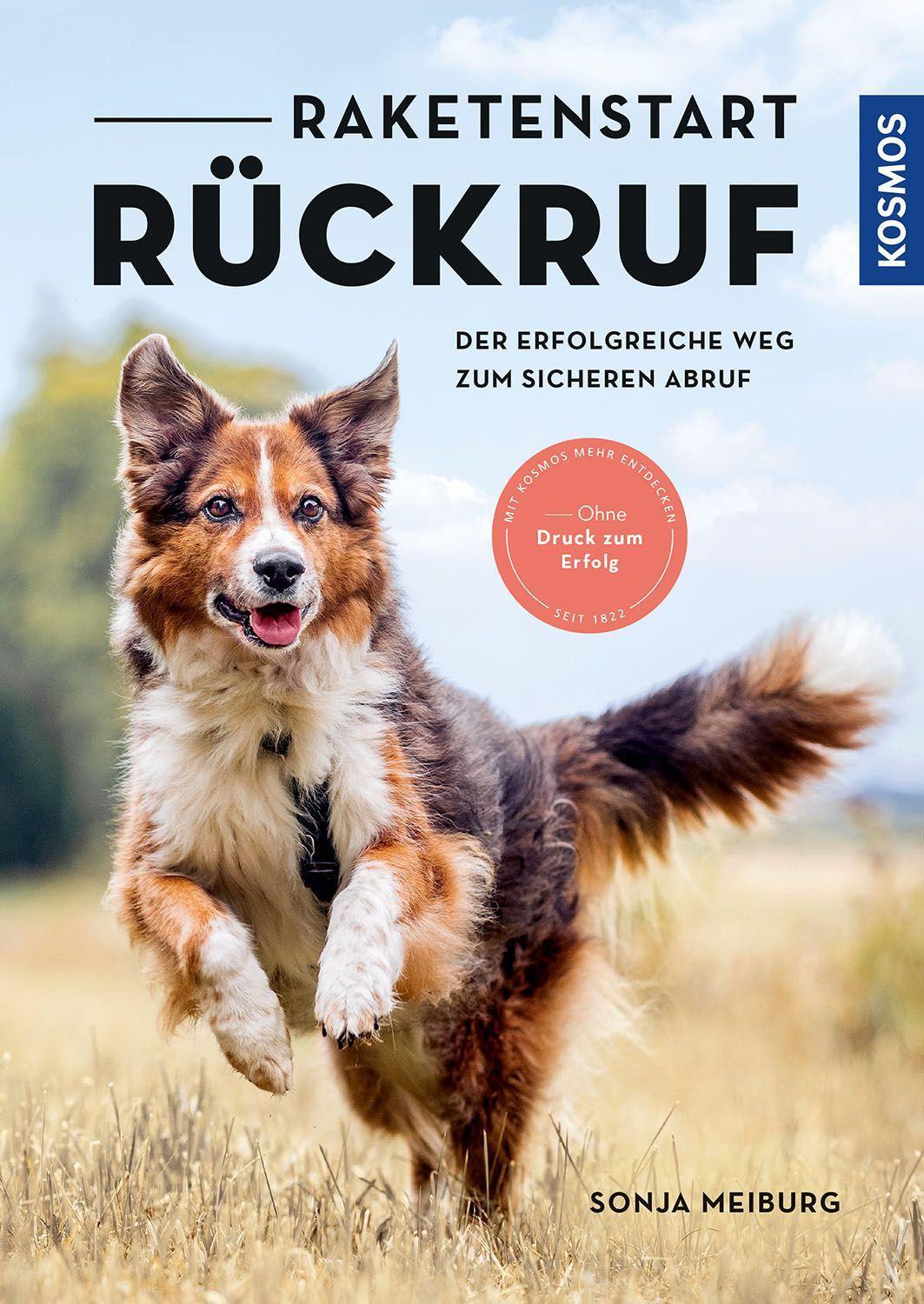 Cover: 9783440173794 | Raketenstart-Rückruf | Der erfolgreiche Weg zum sicheren Abruf | Buch