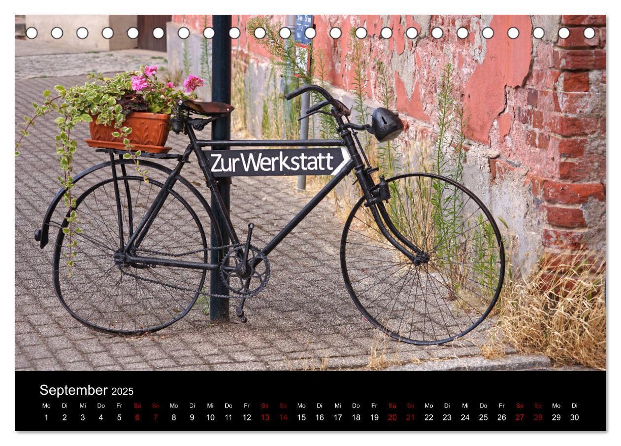 Bild: 9783435447275 | Elberadweg Coswig (Anhalt) (Tischkalender 2025 DIN A5 quer),...