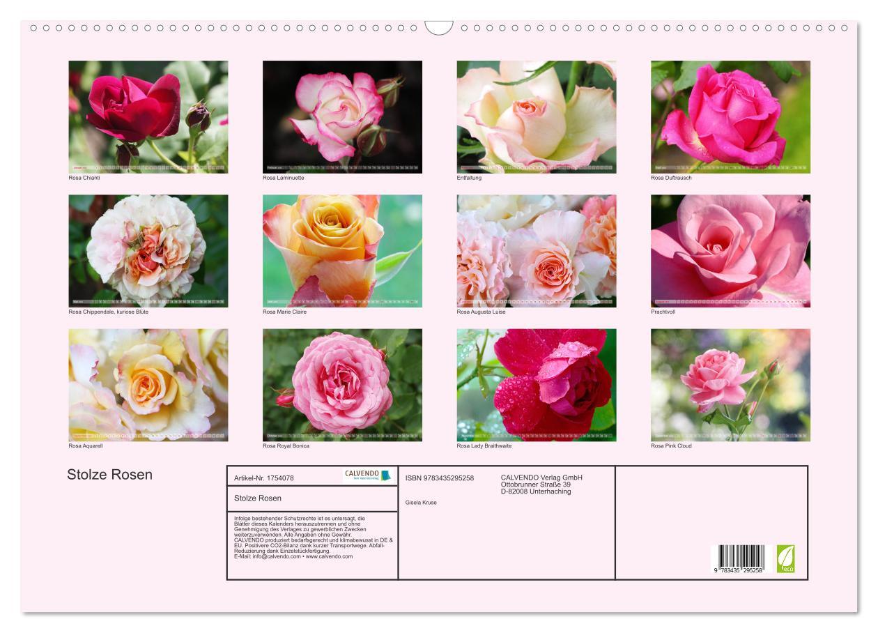 Bild: 9783435295258 | Stolze Rosen (Wandkalender 2025 DIN A2 quer), CALVENDO Monatskalender