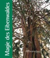 Cover: 9783890600840 | Magie des Eibenwaldes | Angelika Haschler-Böckle | Buch | 176 S.