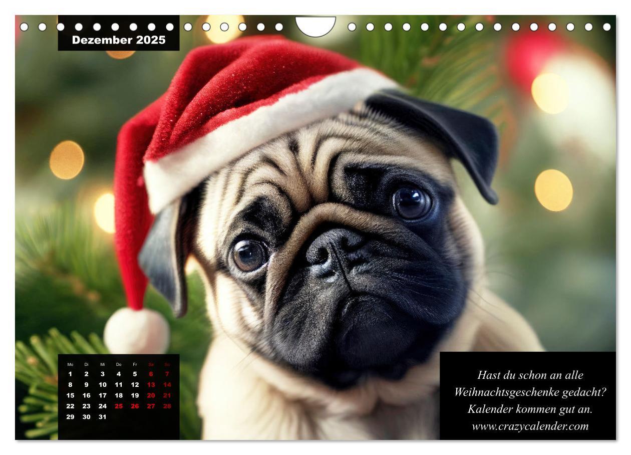 Bild: 9783383919053 | Der humoristische Mops-Kalender (Wandkalender 2025 DIN A4 quer),...