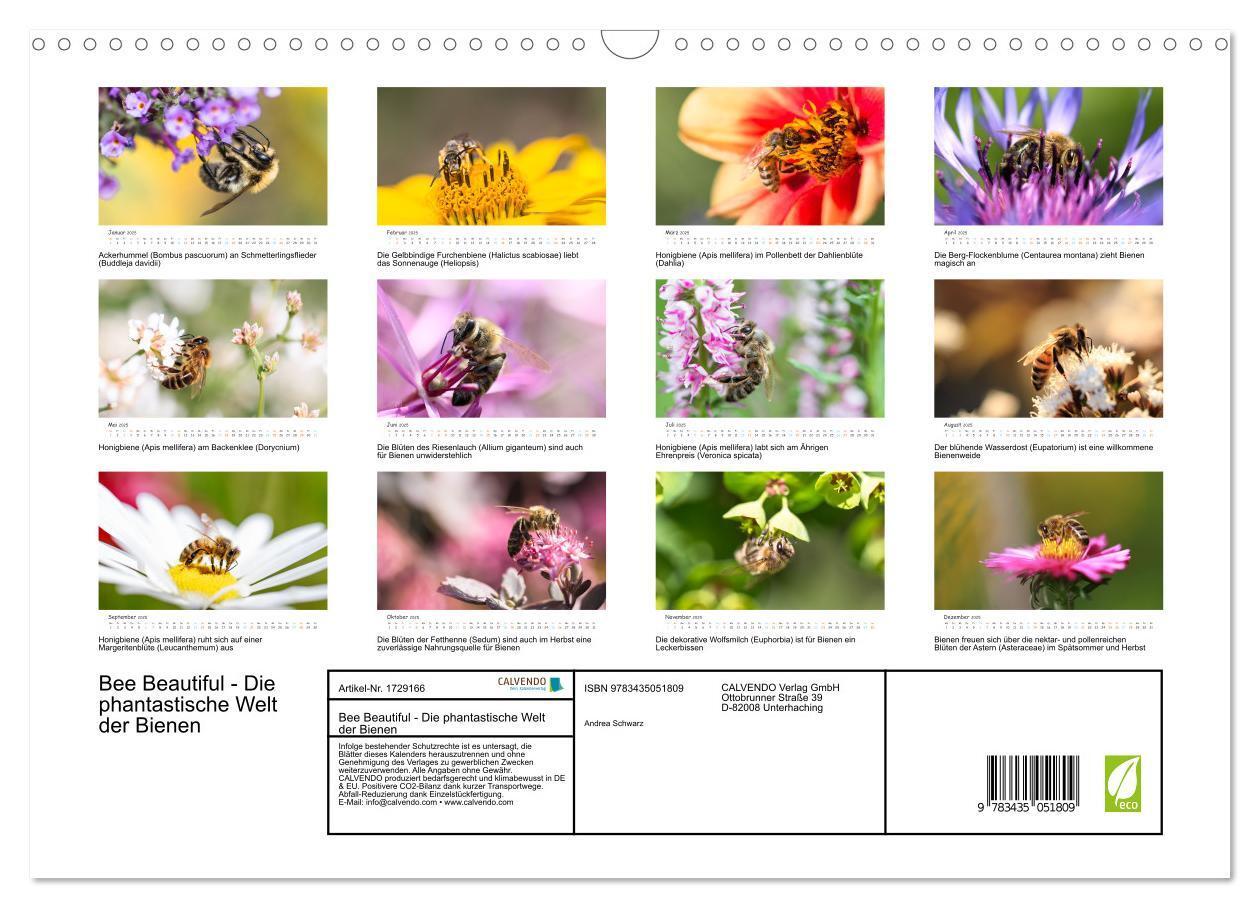 Bild: 9783435051809 | Bee Beautiful - Die phantastische Welt der Bienen (Wandkalender...