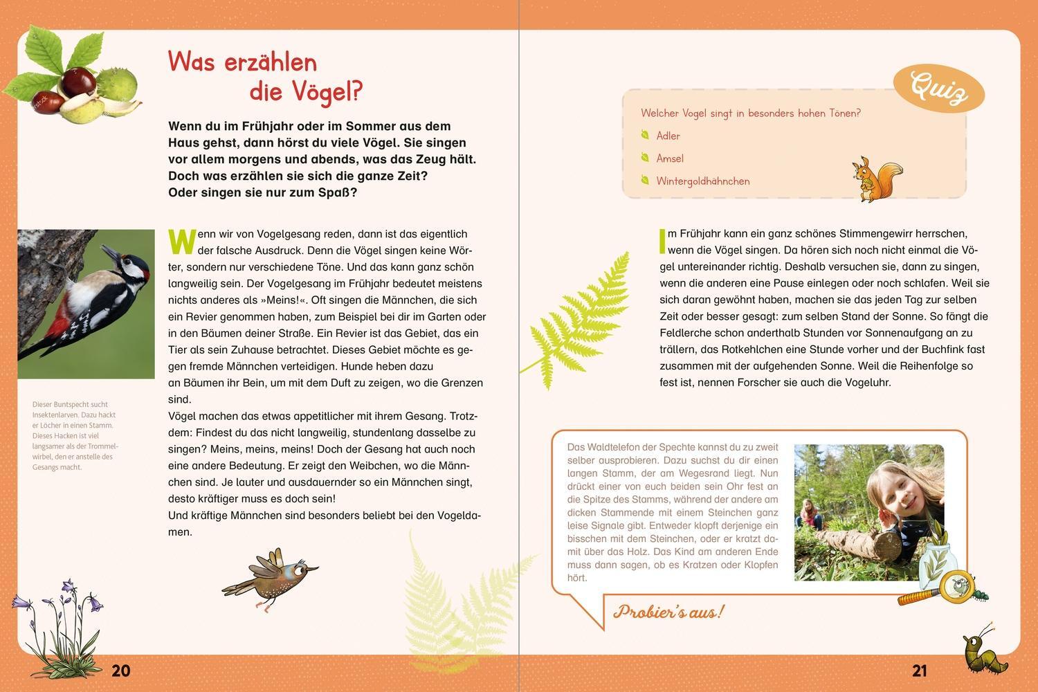 Bild: 9783751201032 | Lesen + Stickern. Entdecke die Tiere im Wald | Peter Wohlleben | 40 S.