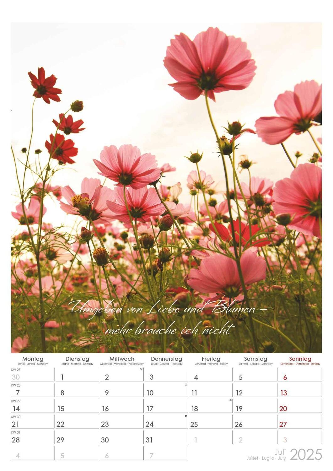 Bild: 4251732343491 | Auszeit für die Seele 2025 - Bildkalender A3 (29,7x42 cm) -...