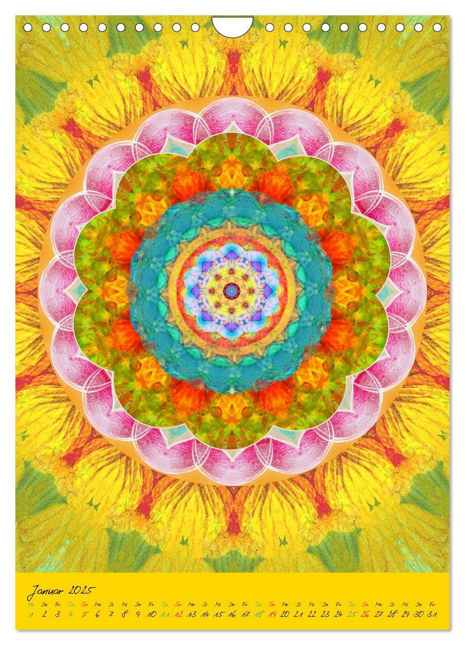 Bild: 9783457043004 | MANDALAS der Natur (Wandkalender 2025 DIN A4 hoch), CALVENDO...