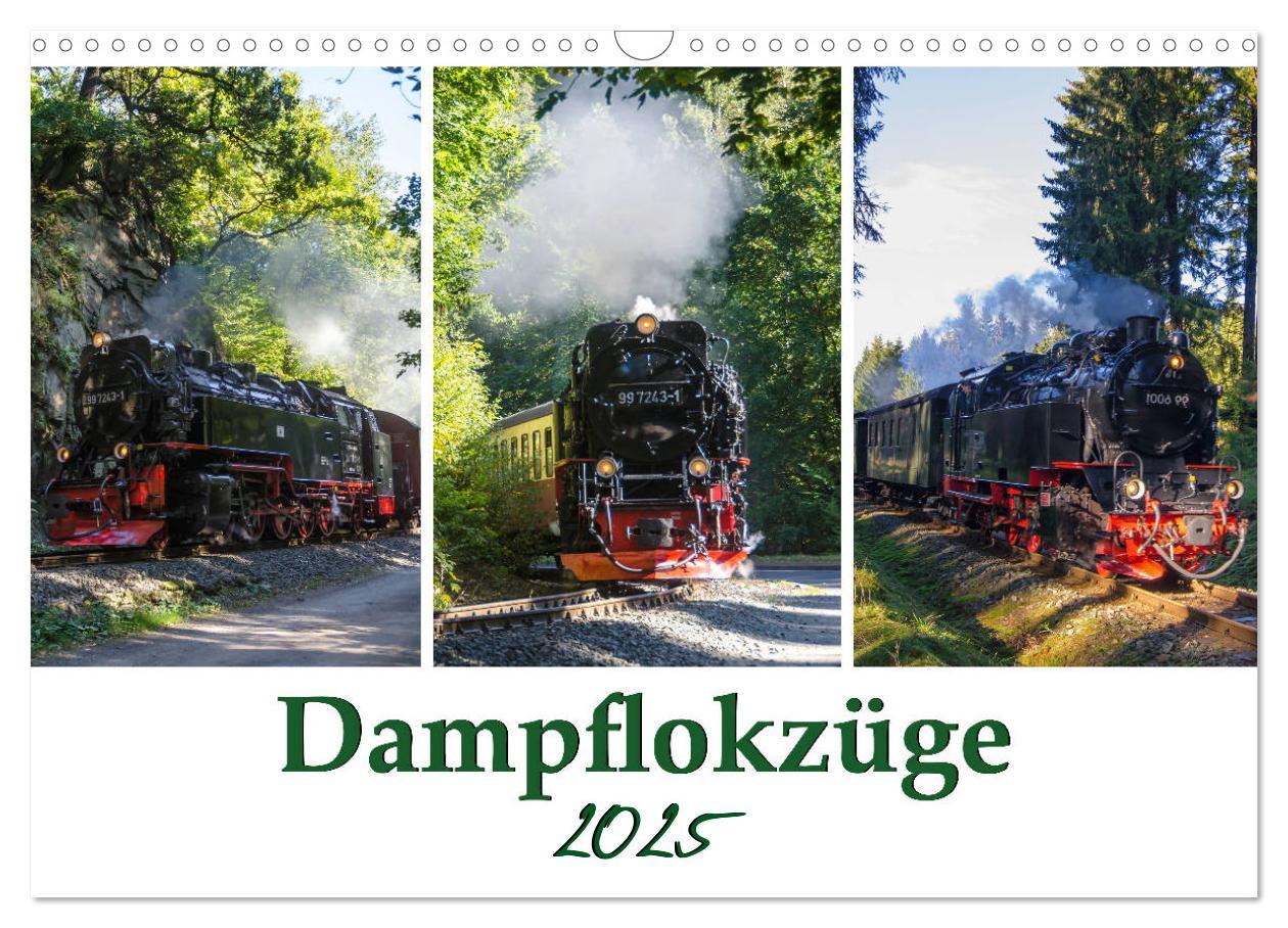 Cover: 9783435217069 | Schmalspurbahnen im Harz (Wandkalender 2025 DIN A3 quer), CALVENDO...