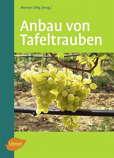 Cover: 9783800153206 | Anbau von Tafeltrauben | Werner Ollig | Taschenbuch | 176 S. | Deutsch