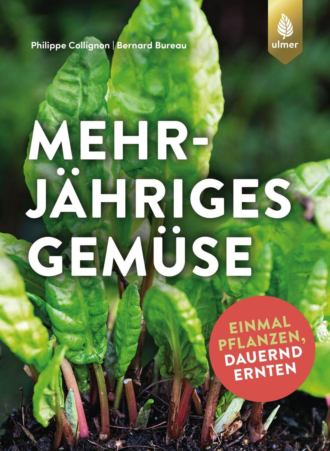 Cover: 9783818612818 | Mehrjähriges Gemüse | Einmal pflanzen, dauernd ernten | Taschenbuch