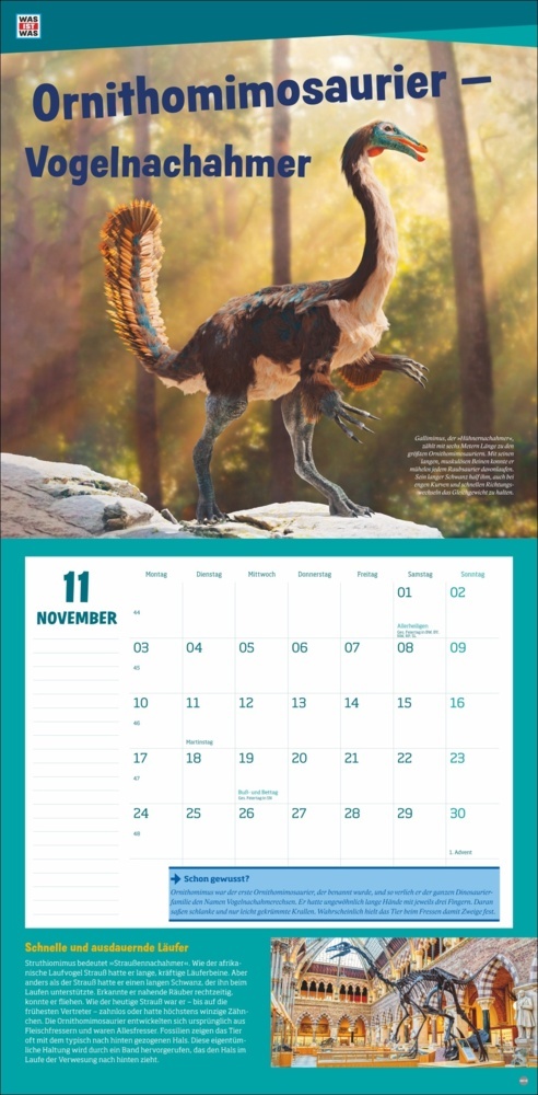 Bild: 9783756408412 | WAS IST WAS Dinosaurier Broschurkalender 2025 | Kalender | 28 S.