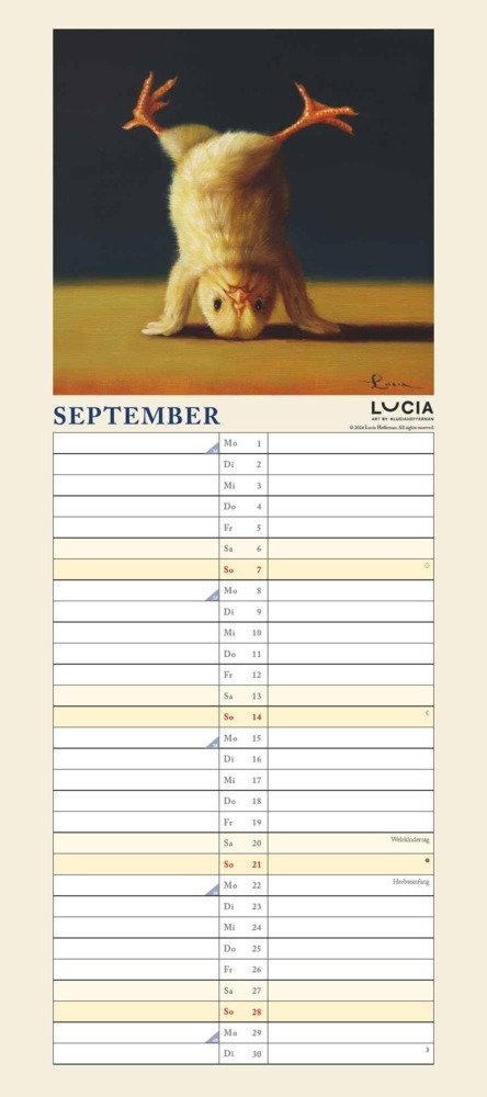 Bild: 4250809653921 | DUMONT - Yoga Chicks 2025 Familienkalender, 22x49,5cm, Planer mit...