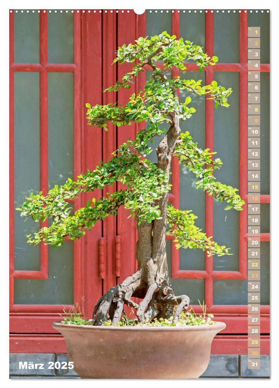 Bild: 9783435851881 | Bonsai: Gartenkunst im Kleinen (Wandkalender 2025 DIN A2 hoch),...