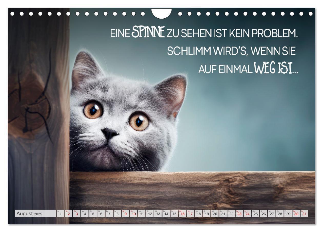 Bild: 9783383771910 | KATZEN-IRONIE Lach mal wieder (Wandkalender 2025 DIN A4 quer),...