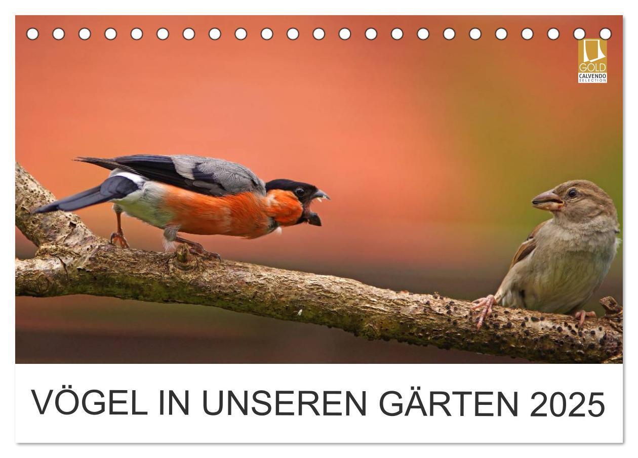 Cover: 9783435749720 | Vögel in unseren Gärten 2025 (Tischkalender 2025 DIN A5 quer),...