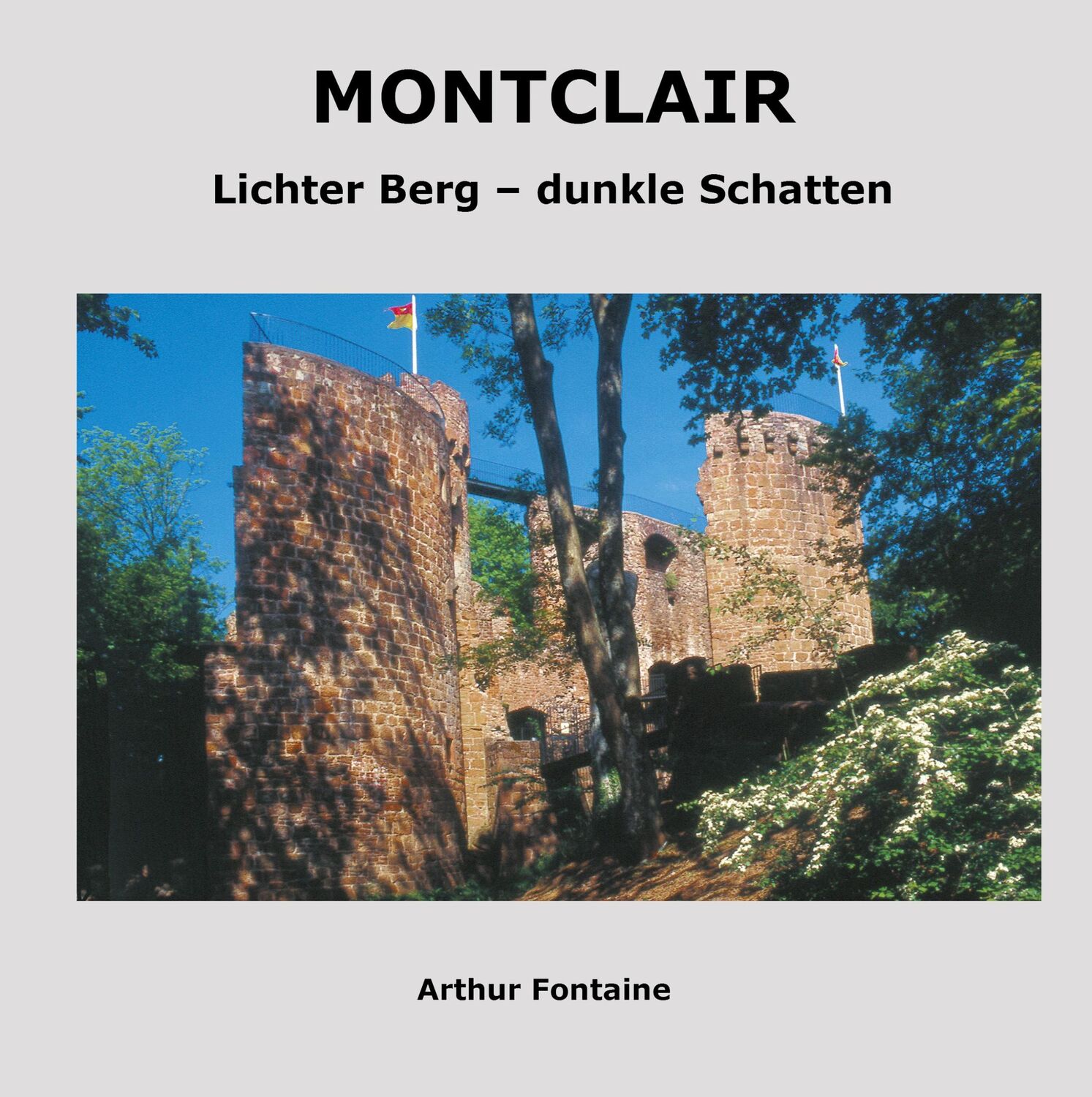 Cover: 9783739220826 | Montclair | Lichter Berg - dunkle Schatten | Arthur Fontaine | Buch