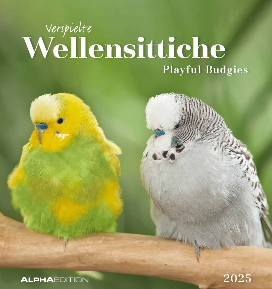 Cover: 4251732342319 | Wellensittiche 2025 - Postkartenkalender 16x17 cm - Budgies - zum...