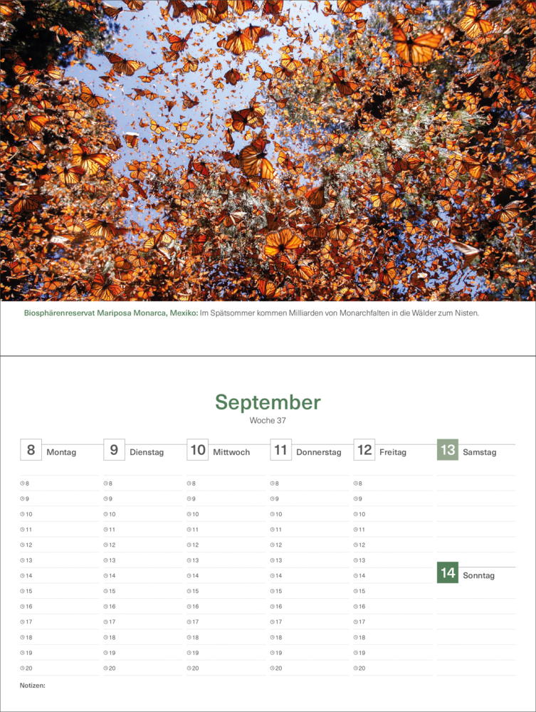 Bild: 9783965913714 | Das Naturerbe der Welt - KUNTH Tischkalender 2025 | Kalender | 54 S.